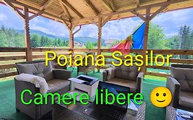 Poiana Sașilor - Valea Doftanei